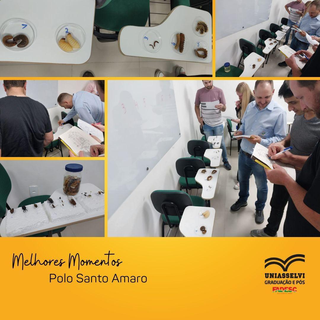 Aula de Entomologia Agrícola